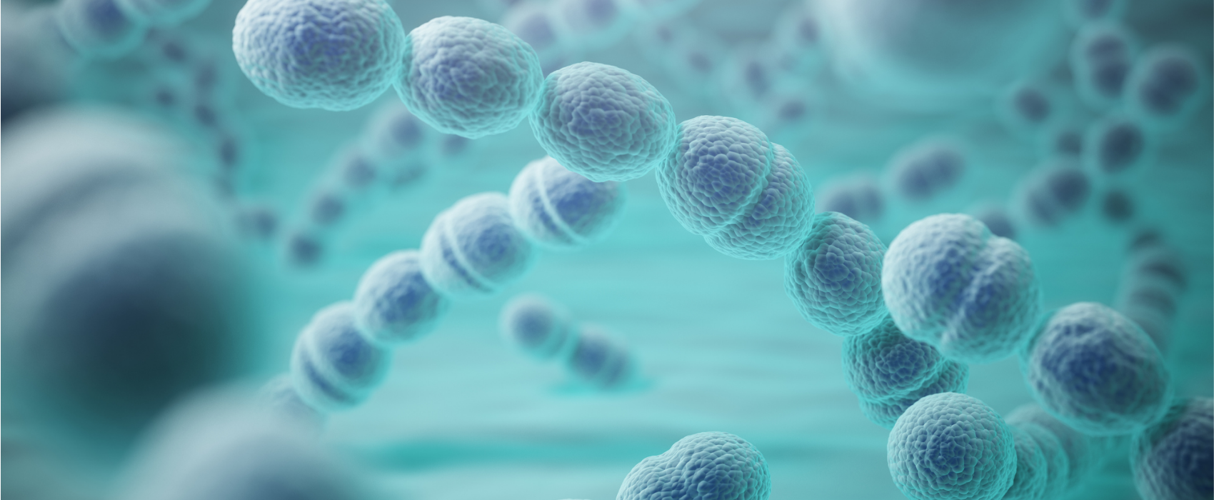 Vacunación Noticias ¿Qué es el Neumococo? y todo lo que debes saber