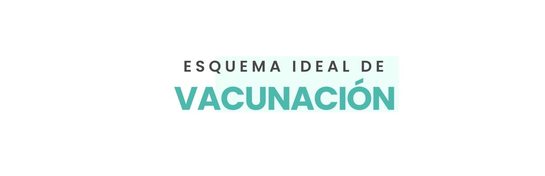 ESQUEMAS DE VACUNACIÓN IDEAL 2023  POR LA ASOCIACIÓN MEXICANA DE VACUNOLOGÍA